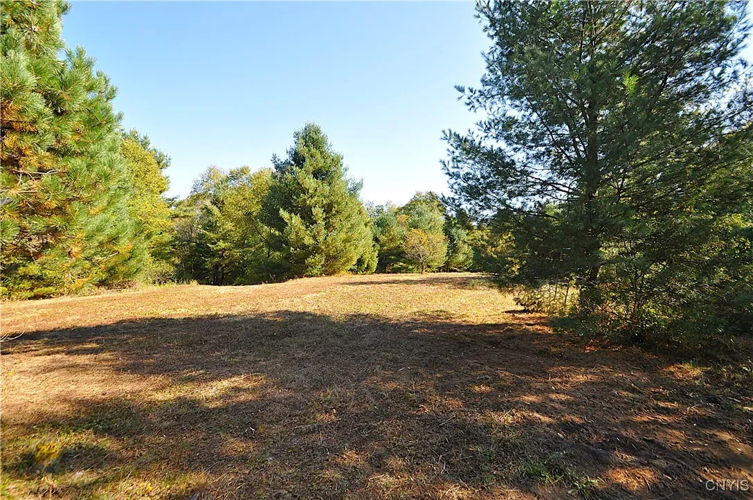 2791 County Route 17, Williamstown, New York 13493, Williamstown, New York 13493, 1 Room Rooms,Land,For Sale,2791 County Route 17, Williamstown, New York 13493,0,S1645046