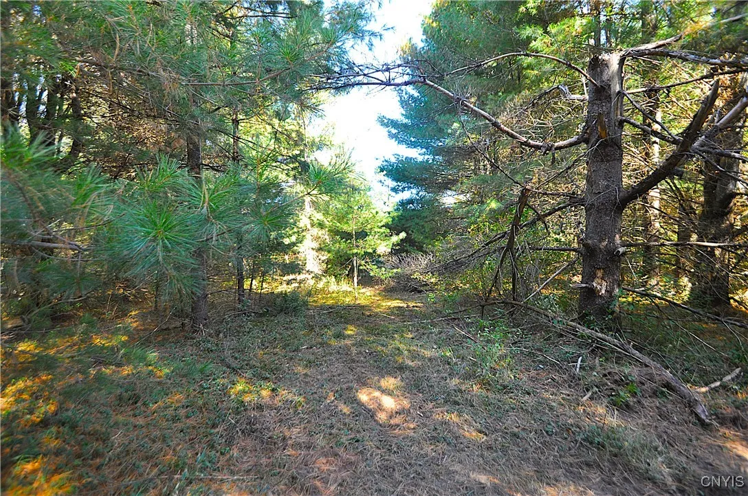 2791 County Route 17, Williamstown, New York 13493, Williamstown, New York 13493, 1 Room Rooms,Land,For Sale,2791 County Route 17, Williamstown, New York 13493,0,S1645046