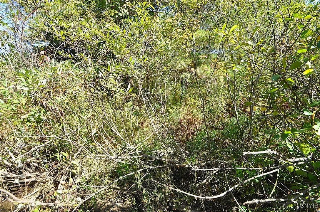 2791 County Route 17, Williamstown, New York 13493, Williamstown, New York 13493, 1 Room Rooms,Land,For Sale,2791 County Route 17, Williamstown, New York 13493,0,S1645046