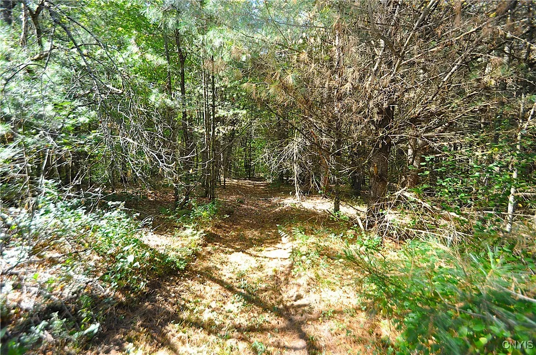 2791 County Route 17, Williamstown, New York 13493, Williamstown, New York 13493, 1 Room Rooms,Land,For Sale,2791 County Route 17, Williamstown, New York 13493,0,S1645046