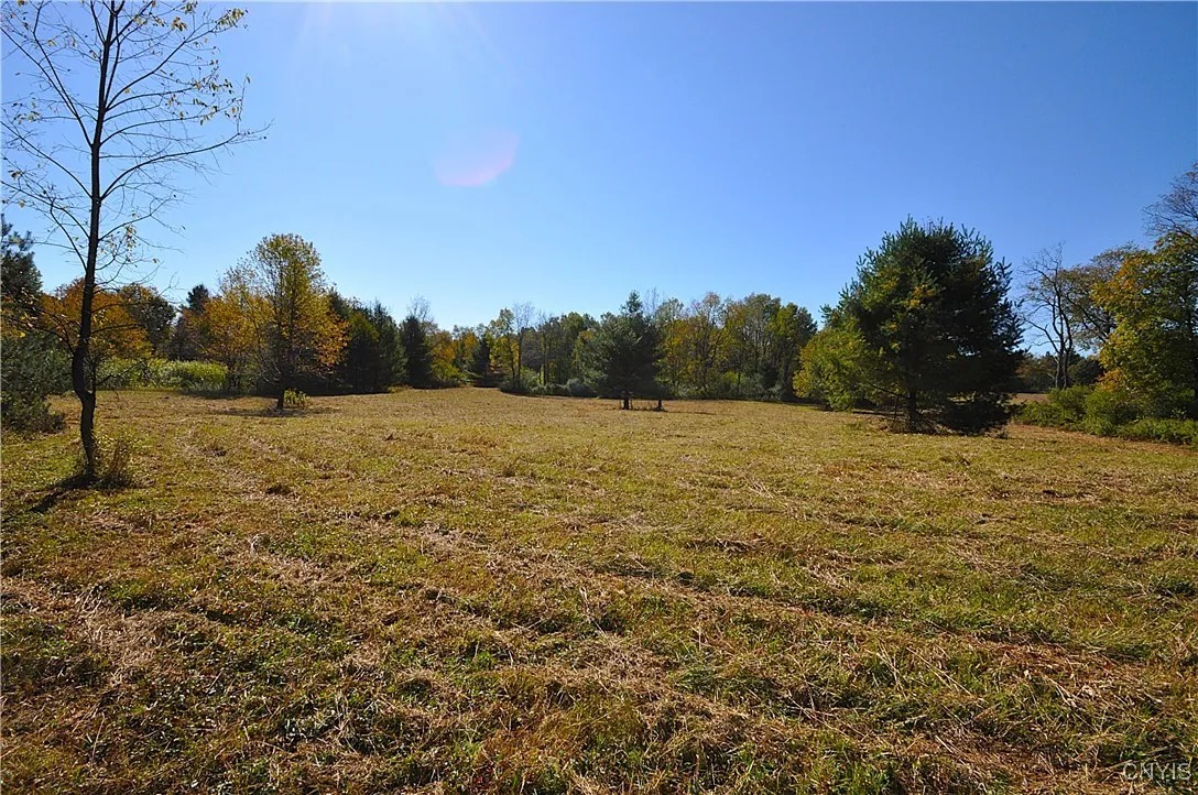 2791 County Route 17, Williamstown, New York 13493, Williamstown, New York 13493, 1 Room Rooms,Land,For Sale,2791 County Route 17, Williamstown, New York 13493,0,S1645046