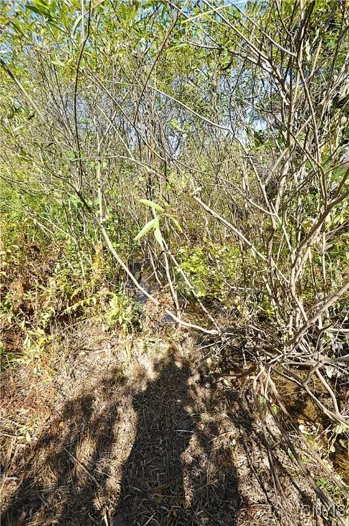 2791 County Route 17, Williamstown, New York 13493, Williamstown, New York 13493, 1 Room Rooms,Land,For Sale,2791 County Route 17, Williamstown, New York 13493,0,S1645046