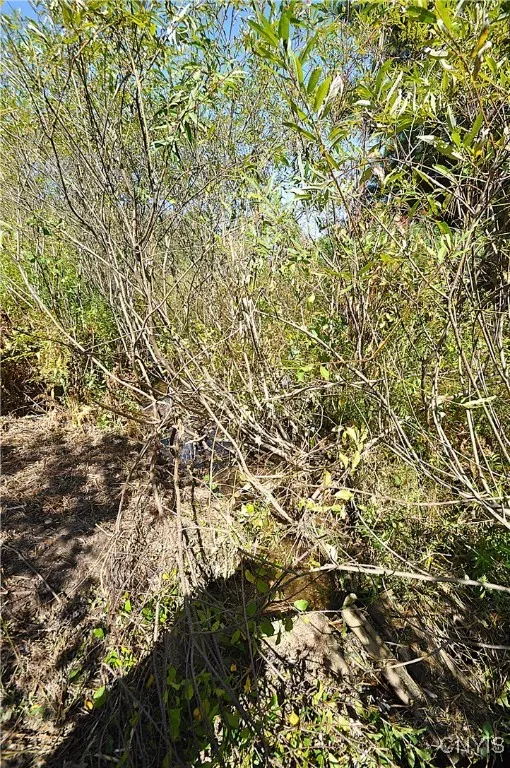 2791 County Route 17, Williamstown, New York 13493, Williamstown, New York 13493, 1 Room Rooms,Land,For Sale,2791 County Route 17, Williamstown, New York 13493,0,S1645046