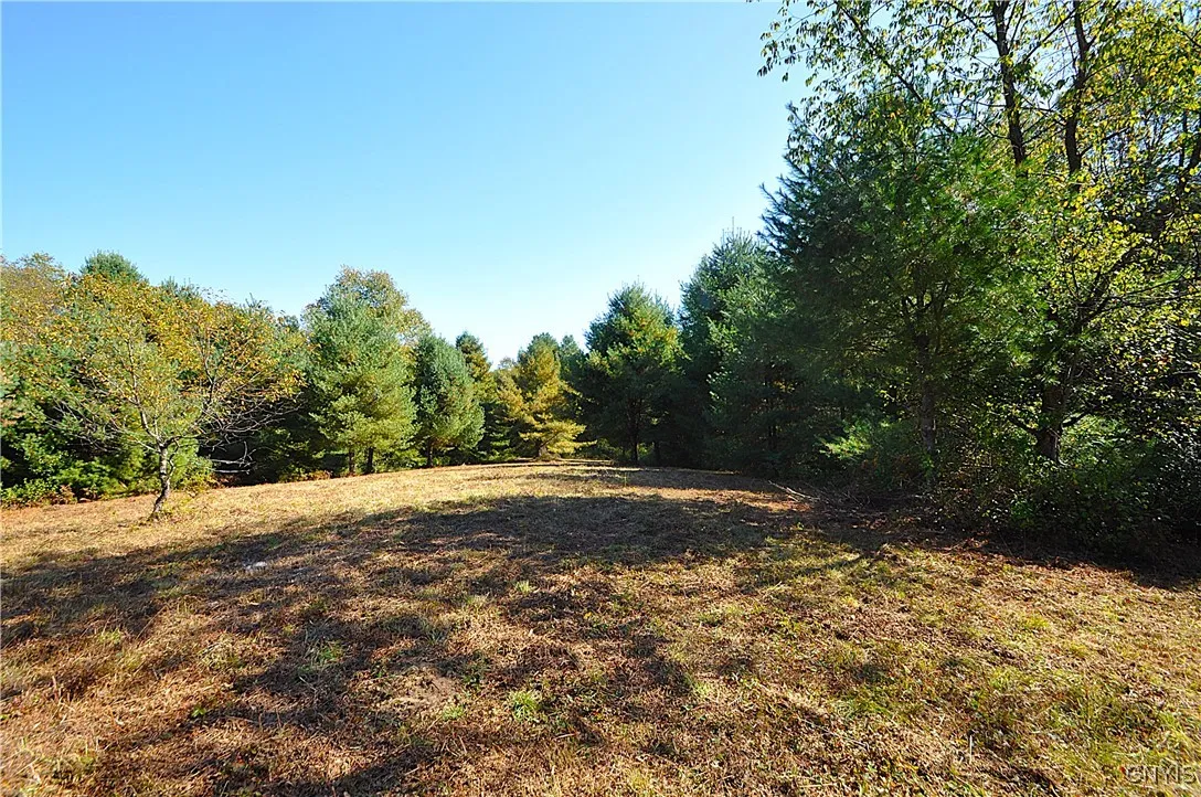 2791 County Route 17, Williamstown, New York 13493, Williamstown, New York 13493, 1 Room Rooms,Land,For Sale,2791 County Route 17, Williamstown, New York 13493,0,S1645046