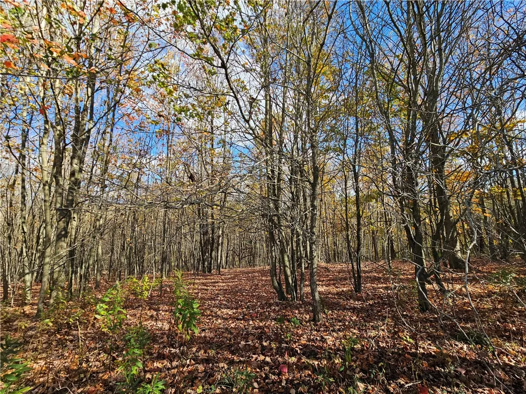 1748 Leonard Road, Troupsburg, New York 14885, Troupsburg, New York 14885, 3 Bedrooms Bedrooms, 5 Rooms Rooms,2 BathroomsBathrooms,Residential,For Sale,1748 Leonard Road, Troupsburg, New York 14885,0,R1643791