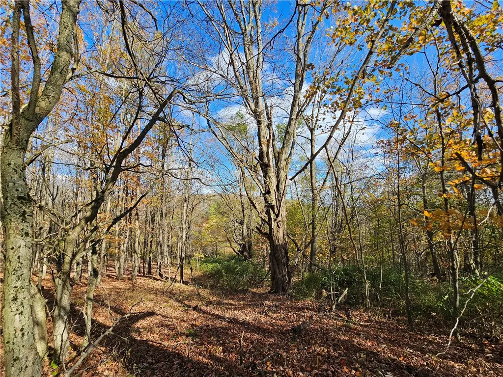 1748 Leonard Road, Troupsburg, New York 14885, Troupsburg, New York 14885, 3 Bedrooms Bedrooms, 5 Rooms Rooms,2 BathroomsBathrooms,Residential,For Sale,1748 Leonard Road, Troupsburg, New York 14885,0,R1643791