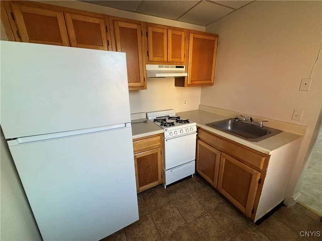 511-521 Plant Street, Utica, New York 13502, Utica, New York 13502, 25 Bedrooms Bedrooms, ,Multi Family,For Sale,511-521 Plant Street, Utica, New York 13502,0,S1644991