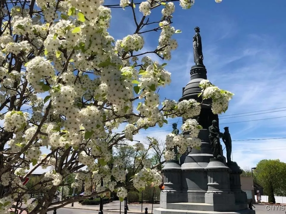 511-521 Plant Street, Utica, New York 13502, Utica, New York 13502, 25 Bedrooms Bedrooms, ,Multi Family,For Sale,511-521 Plant Street, Utica, New York 13502,0,S1644991