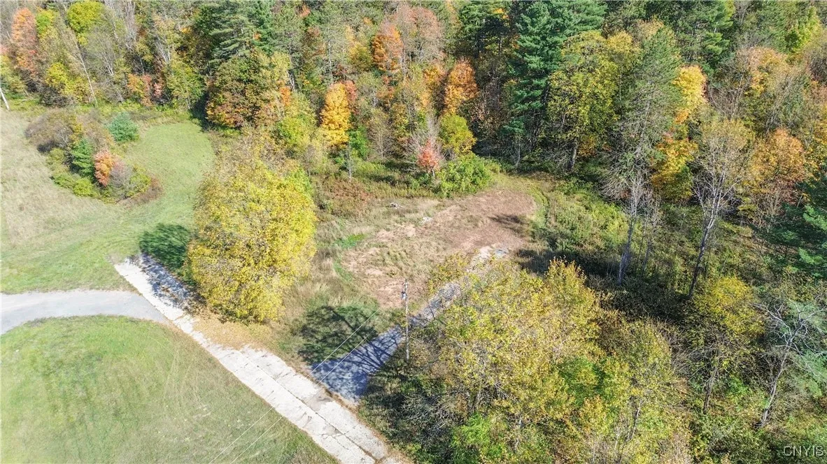 6864 State Route 3, Diana, New York 13665, Diana, New York 13665, ,Land,For Sale,6864 State Route 3, Diana, New York 13665,0,S1644721