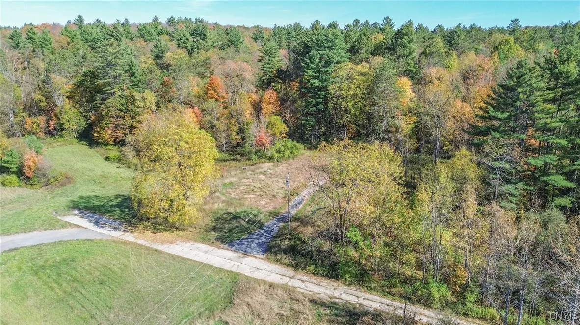 6864 State Route 3, Diana, New York 13665, Diana, New York 13665, ,Land,For Sale,6864 State Route 3, Diana, New York 13665,0,S1644721