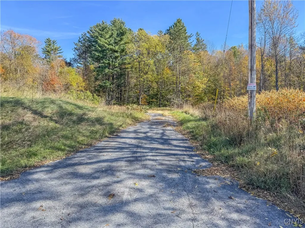 6864 State Route 3, Diana, New York 13665, Diana, New York 13665, ,Land,For Sale,6864 State Route 3, Diana, New York 13665,0,S1644721