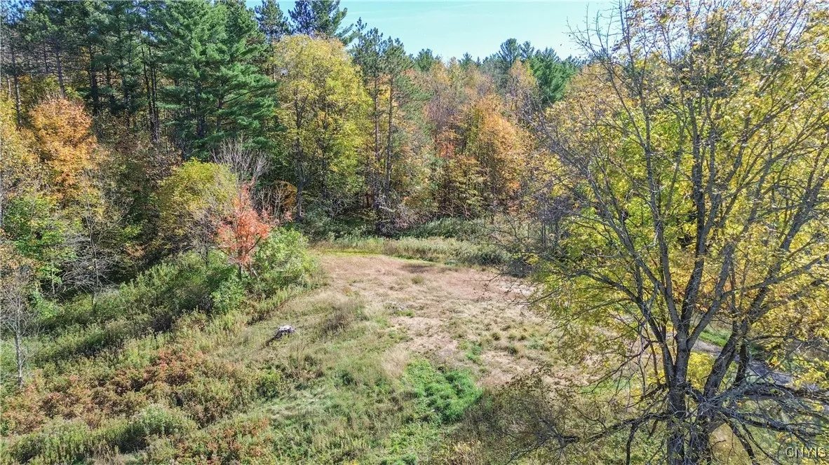 6864 State Route 3, Diana, New York 13665, Diana, New York 13665, ,Land,For Sale,6864 State Route 3, Diana, New York 13665,0,S1644721