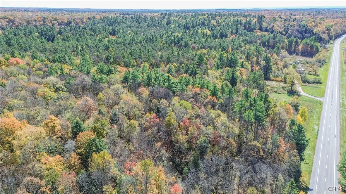 6864 State Route 3, Diana, New York 13665, Diana, New York 13665, ,Land,For Sale,6864 State Route 3, Diana, New York 13665,0,S1644721