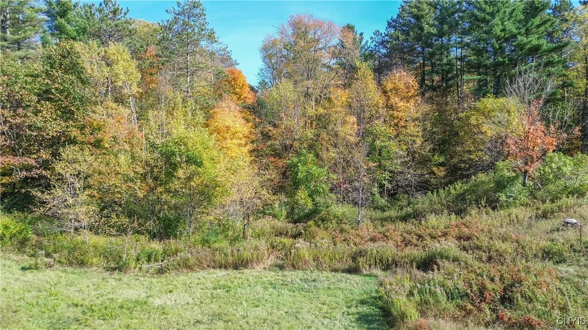 6864 State Route 3, Diana, New York 13665, Diana, New York 13665, ,Land,For Sale,6864 State Route 3, Diana, New York 13665,0,S1644721