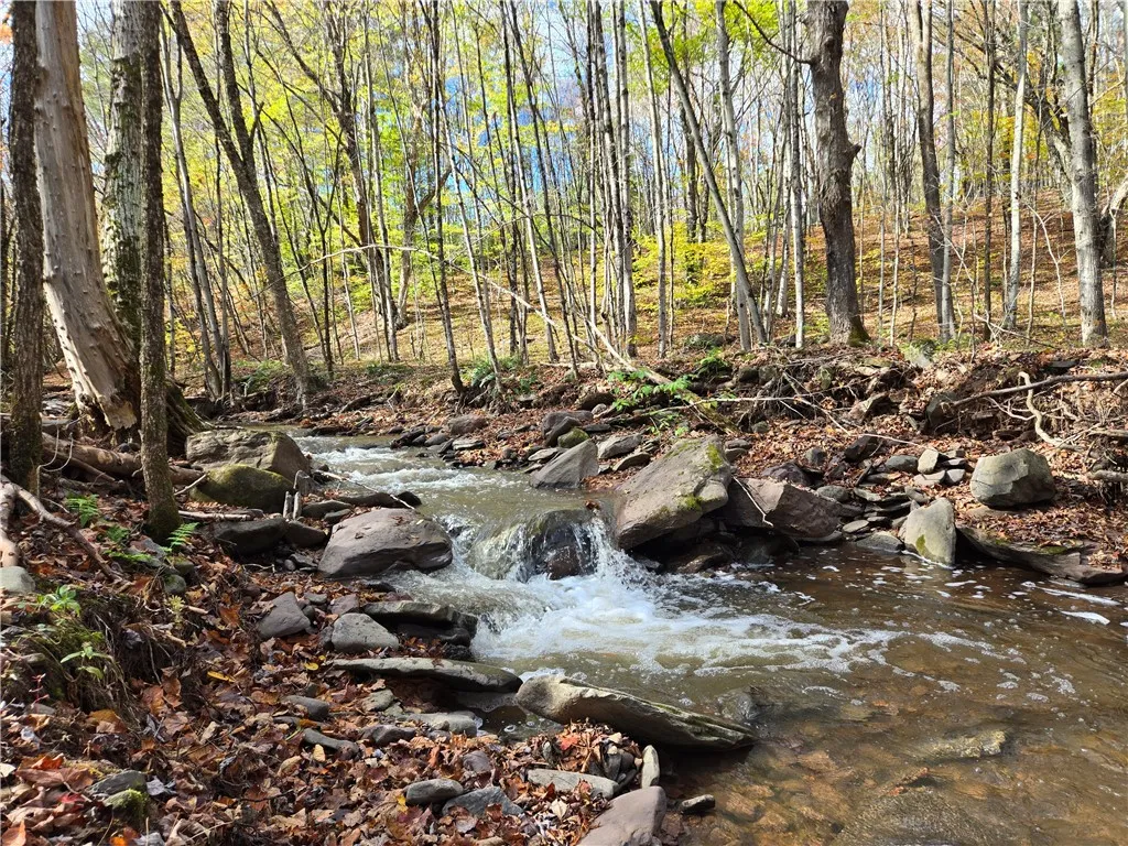 321 St. Michaels Place, Kortright, New York 13842, Kortright, New York 13842, 3 Bedrooms Bedrooms, 5 Rooms Rooms,1 BathroomBathrooms,Residential,For Sale,321 St. Michaels Place, Kortright, New York 13842,0,R1644679