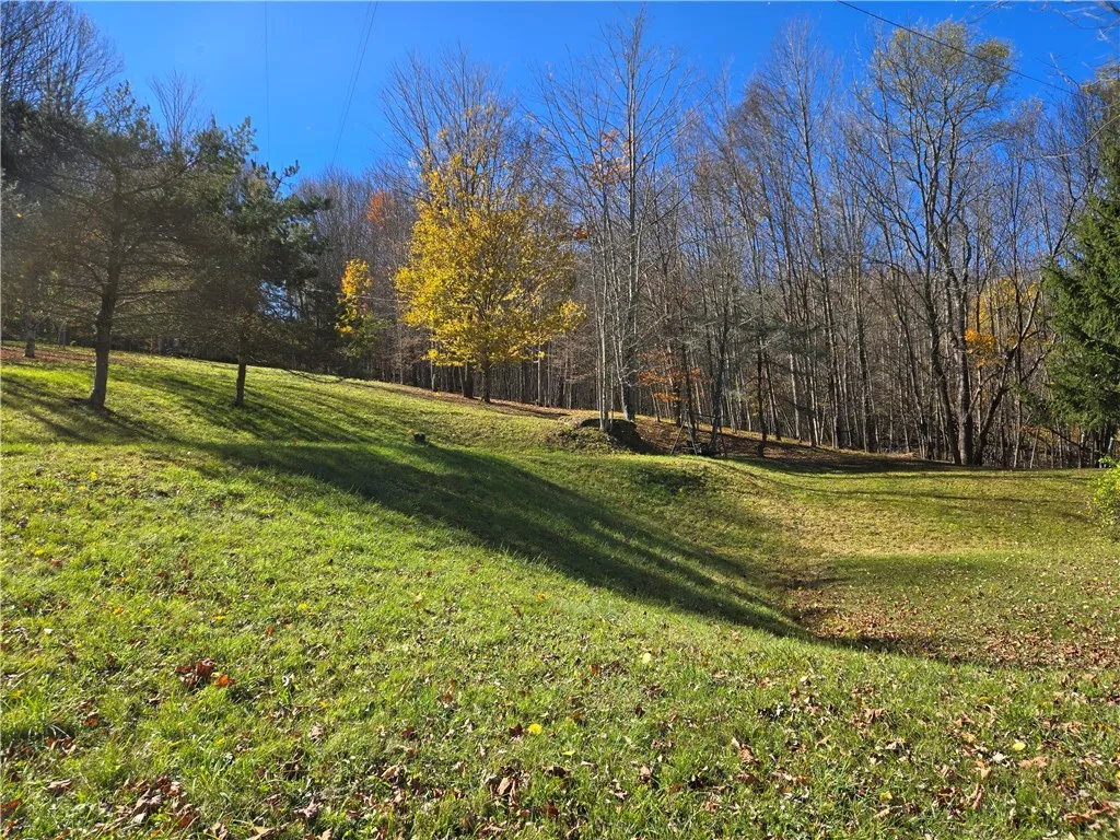 321 St. Michaels Place, Kortright, New York 13842, Kortright, New York 13842, 3 Bedrooms Bedrooms, 5 Rooms Rooms,1 BathroomBathrooms,Residential,For Sale,321 St. Michaels Place, Kortright, New York 13842,0,R1644679