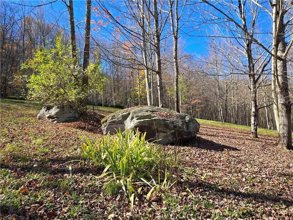 321 St. Michaels Place, Kortright, New York 13842, Kortright, New York 13842, 3 Bedrooms Bedrooms, 5 Rooms Rooms,1 BathroomBathrooms,Residential,For Sale,321 St. Michaels Place, Kortright, New York 13842,0,R1644679