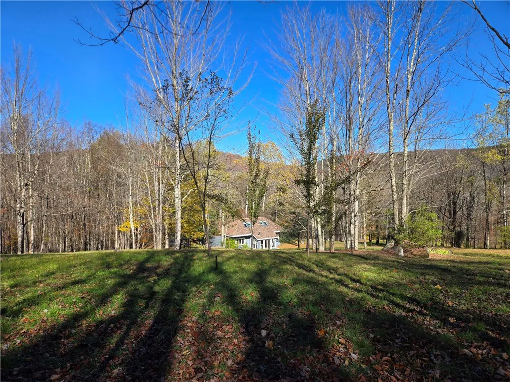 321 St. Michaels Place, Kortright, New York 13842, Kortright, New York 13842, 3 Bedrooms Bedrooms, 5 Rooms Rooms,1 BathroomBathrooms,Residential,For Sale,321 St. Michaels Place, Kortright, New York 13842,0,R1644679