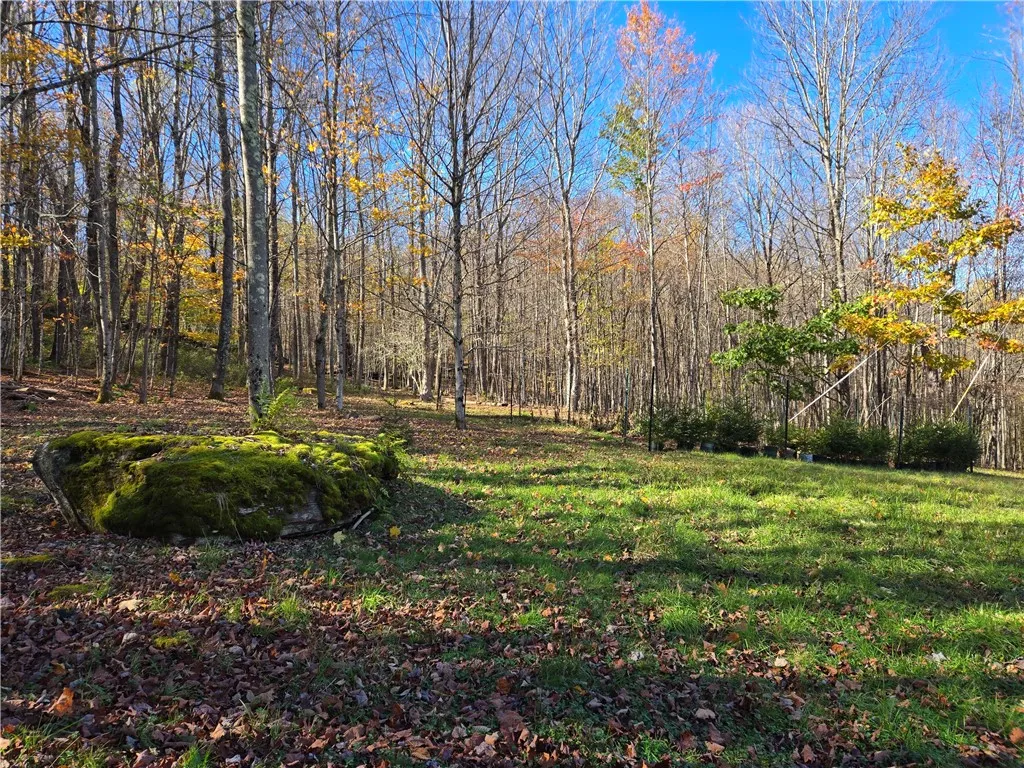 321 St. Michaels Place, Kortright, New York 13842, Kortright, New York 13842, 3 Bedrooms Bedrooms, 5 Rooms Rooms,1 BathroomBathrooms,Residential,For Sale,321 St. Michaels Place, Kortright, New York 13842,0,R1644679