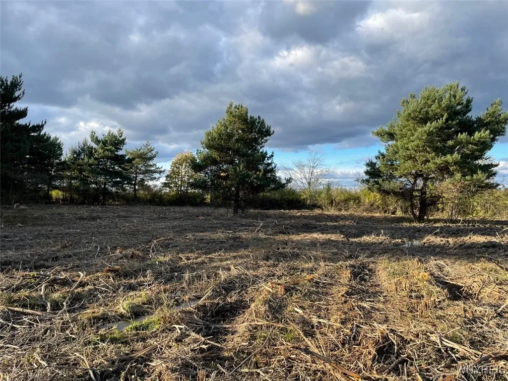 3432 Transit Road, Orchard Park, New York 14127, Orchard Park, New York 14127, ,Land,For Sale,3432 Transit Road, Orchard Park, New York 14127,0,B1645121