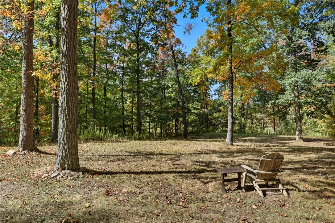 Beautiful view of the woods and creek from your deck.