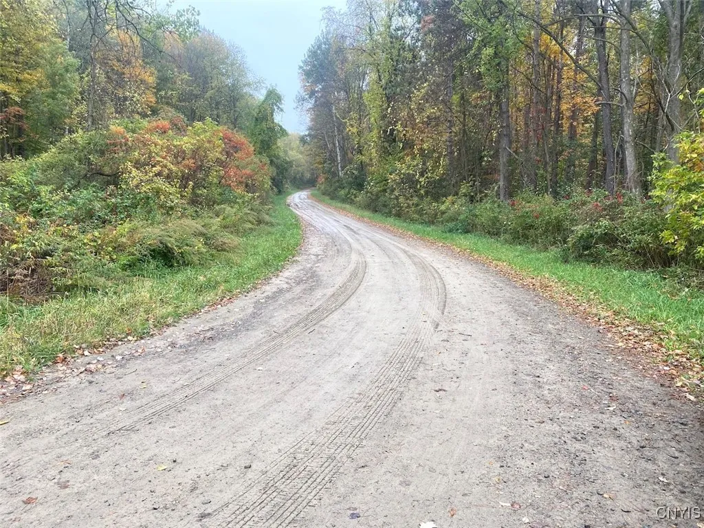 Bull Road, Burns, New York 14807, Burns, New York 14807, ,Land,For Sale,Bull Road, Burns, New York 14807,0,S1645444