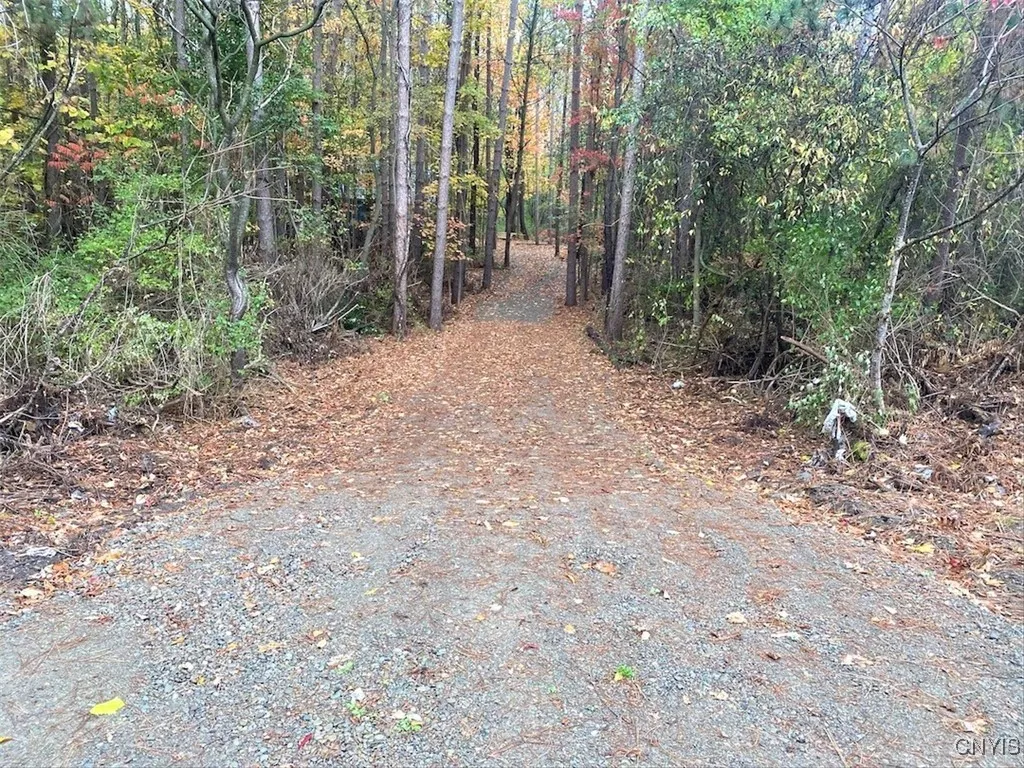 Bull Road, Burns, New York 14807, Burns, New York 14807, ,Land,For Sale,Bull Road, Burns, New York 14807,0,S1645444