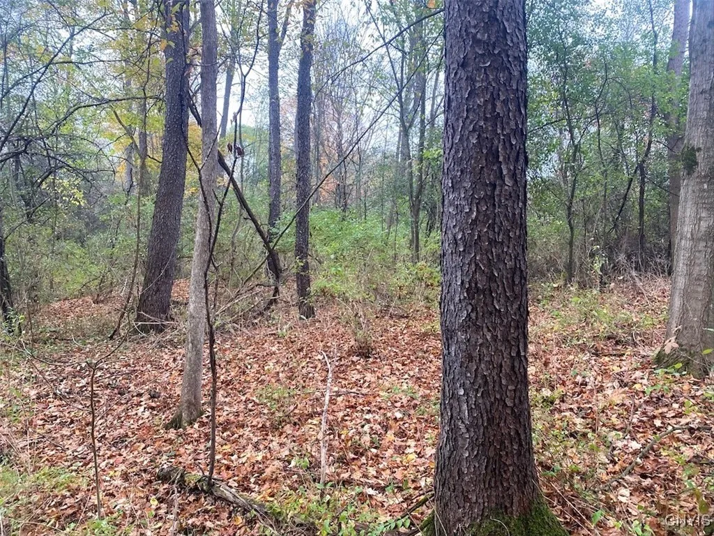 Bull Road, Burns, New York 14807, Burns, New York 14807, ,Land,For Sale,Bull Road, Burns, New York 14807,0,S1645444