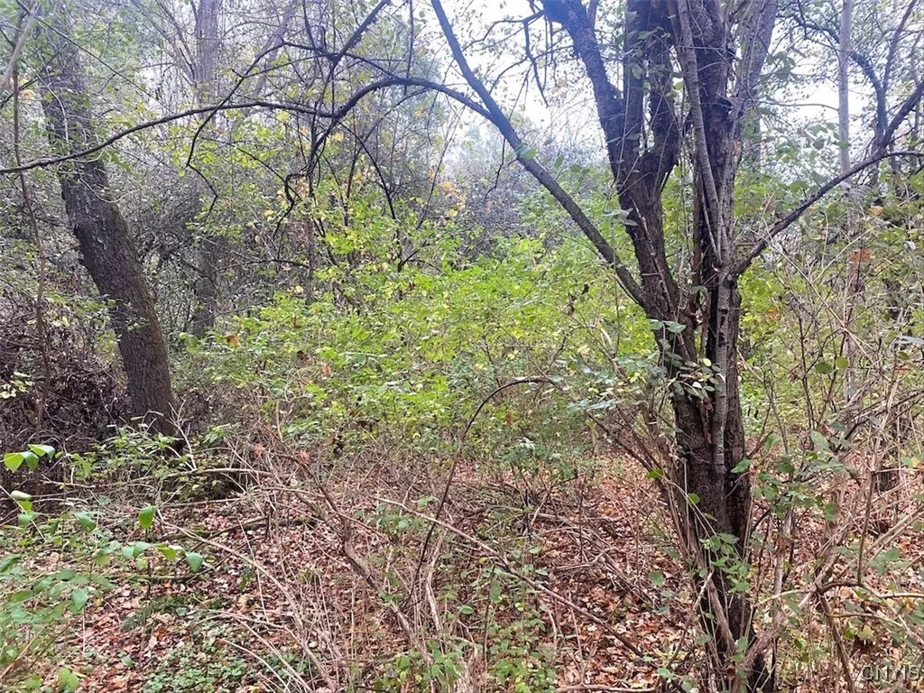 Bull Road, Burns, New York 14807, Burns, New York 14807, ,Land,For Sale,Bull Road, Burns, New York 14807,0,S1645444