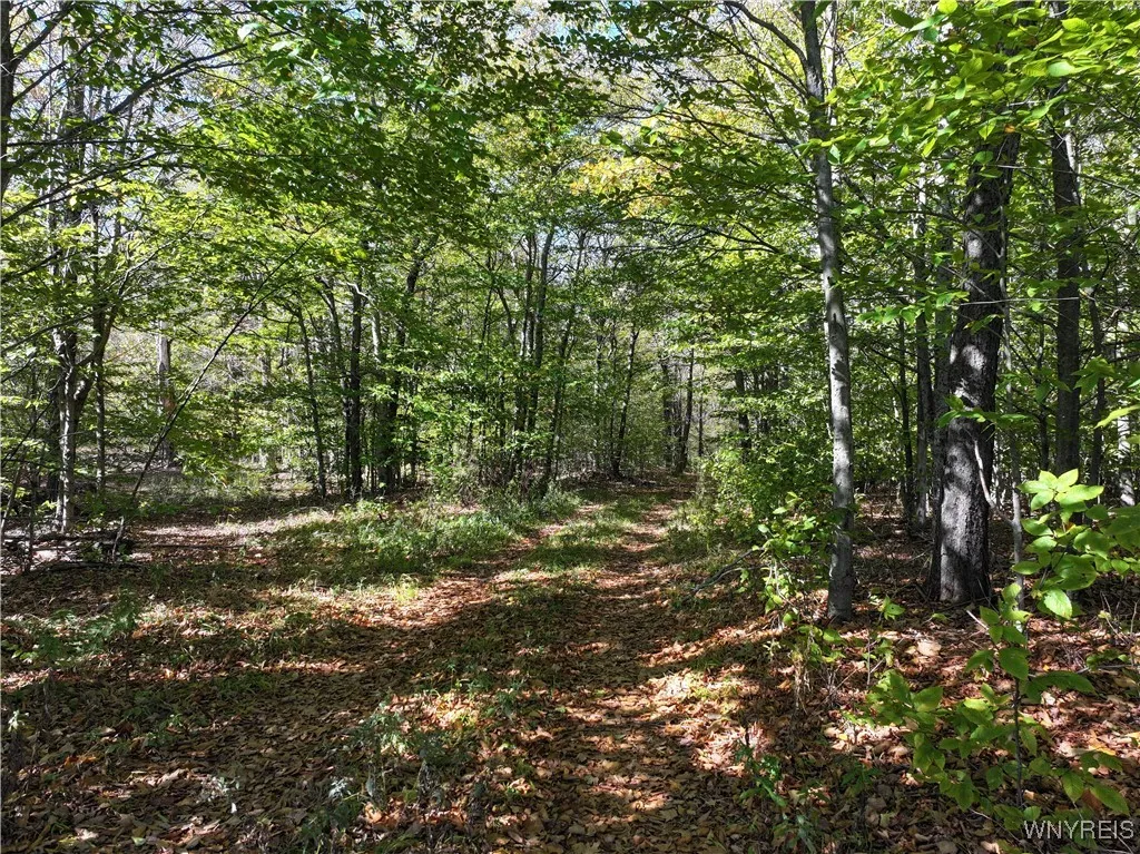 00 Ridge Road, Hamden, New York 13782, Hamden, New York 13782, ,Land,For Sale,00 Ridge Road, Hamden, New York 13782,0,B1645460