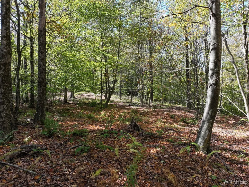 00 Ridge Road, Hamden, New York 13782, Hamden, New York 13782, ,Land,For Sale,00 Ridge Road, Hamden, New York 13782,0,B1645460