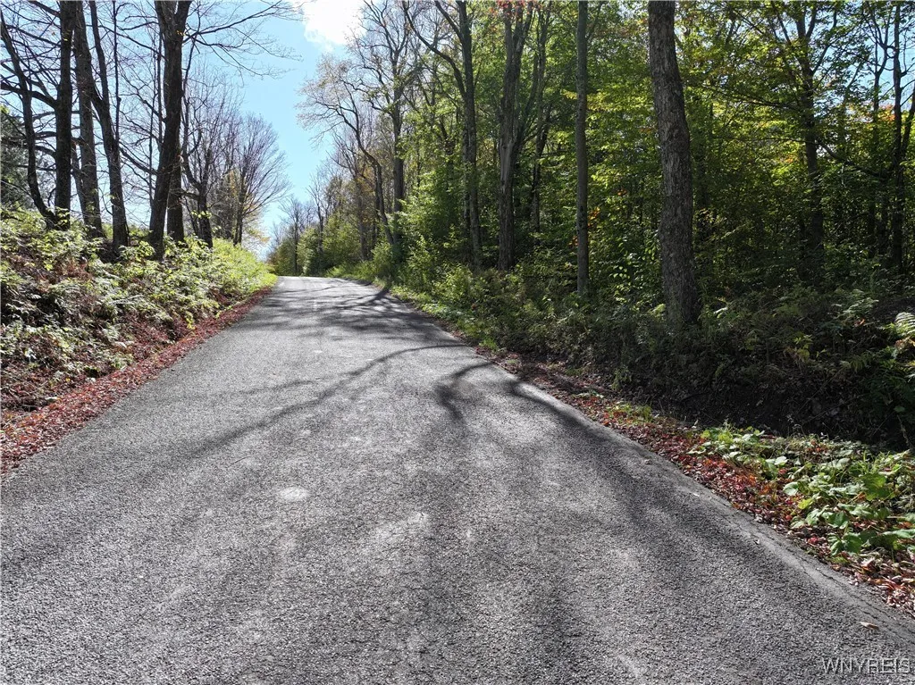 00 Ridge Road, Hamden, New York 13782, Hamden, New York 13782, ,Land,For Sale,00 Ridge Road, Hamden, New York 13782,0,B1645460