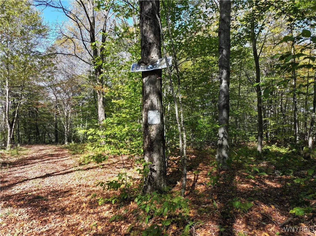 00 Ridge Road, Hamden, New York 13782, Hamden, New York 13782, ,Land,For Sale,00 Ridge Road, Hamden, New York 13782,0,B1645460