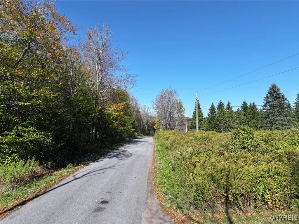 00 Ridge Road, Hamden, New York 13782, Hamden, New York 13782, ,Land,For Sale,00 Ridge Road, Hamden, New York 13782,0,B1645460
