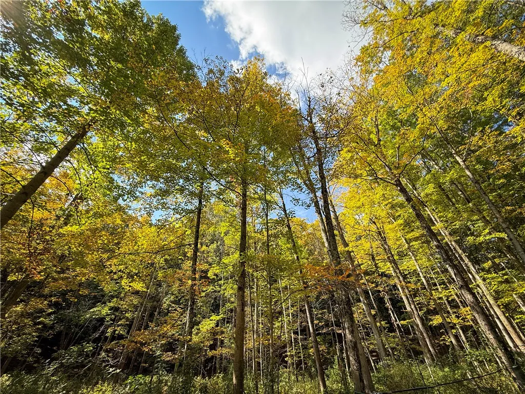 7592 North Road, Victor, New York 14564, Victor, New York 14564, 3 Bedrooms Bedrooms, 15 Rooms Rooms,2 BathroomsBathrooms,Residential,For Sale,7592 North Road, Victor, New York 14564,0,R1645536