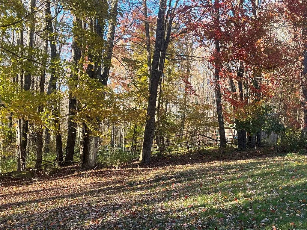 3021 Tedle Brook Road, Harpersfield, New York 1209, Harpersfield, New York 12093, 2 Bedrooms Bedrooms, 10 Rooms Rooms,1 BathroomBathrooms,Residential,For Sale,3021 Tedle Brook Road, Harpersfield, New York 1209,0,R1645250