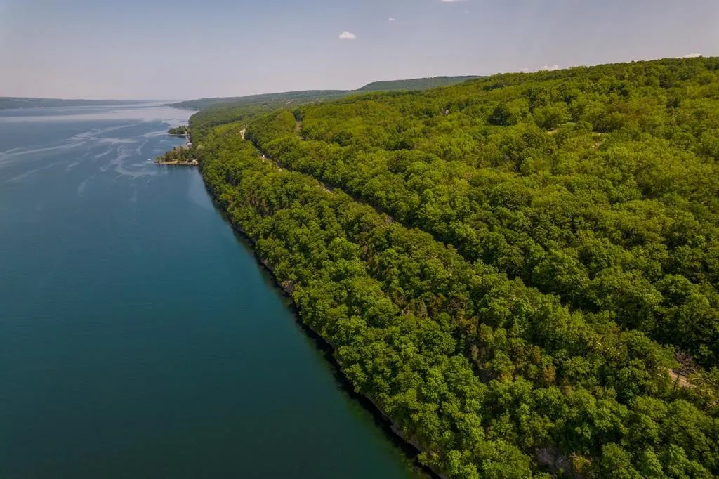 0 State Route 414, Hector, New York 14841, Hector, New York 14841, ,Land,For Sale,0 State Route 414, Hector, New York 14841,0,R1645570