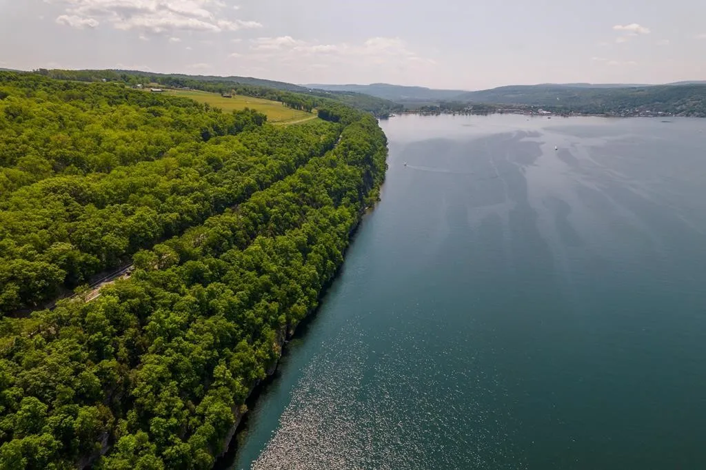 0 State Route 414, Hector, New York 14841, Hector, New York 14841, ,Land,For Sale,0 State Route 414, Hector, New York 14841,0,R1645570