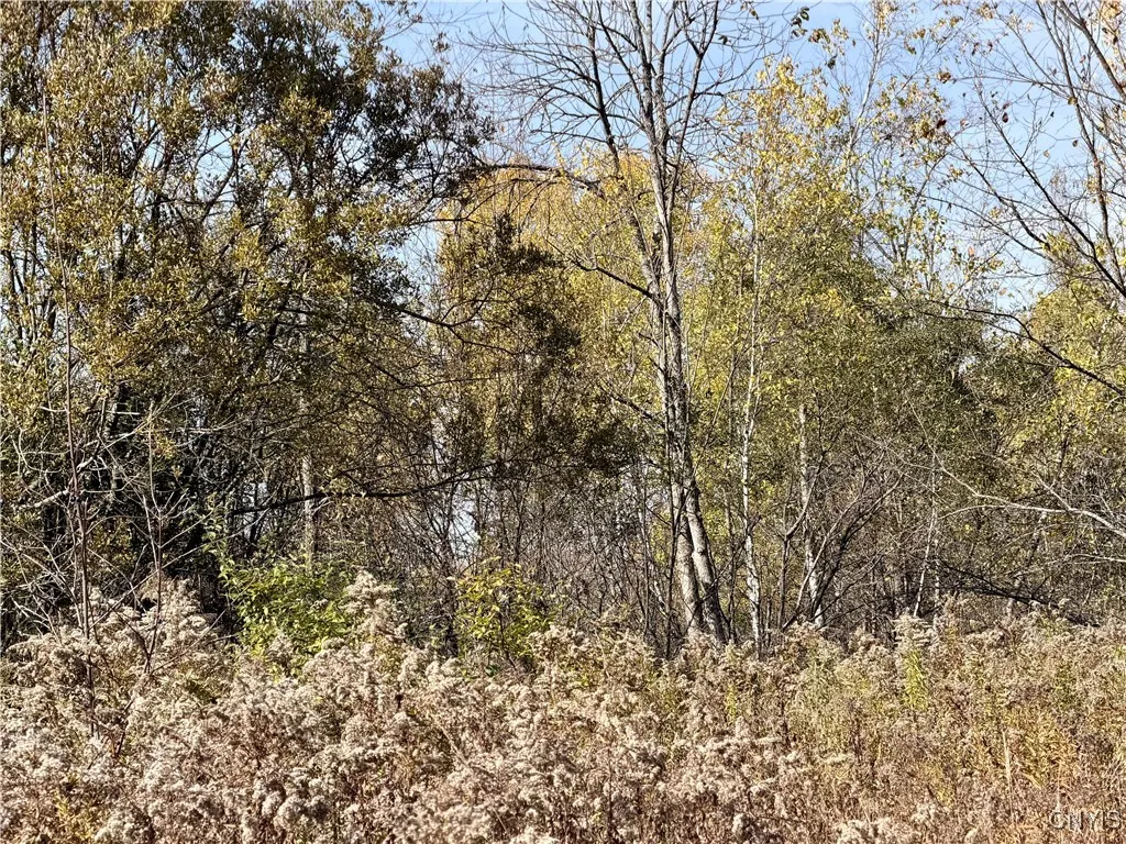 4895 Rogers Crossing Road, Croghan, New York 13327, Croghan, New York 13327, ,Land,For Sale,4895 Rogers Crossing Road, Croghan, New York 13327,0,S1645604