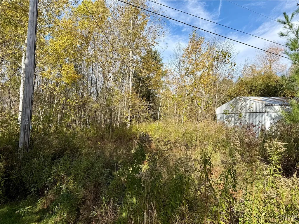 4895 Rogers Crossing Road, Croghan, New York 13327, Croghan, New York 13327, ,Land,For Sale,4895 Rogers Crossing Road, Croghan, New York 13327,0,S1645604