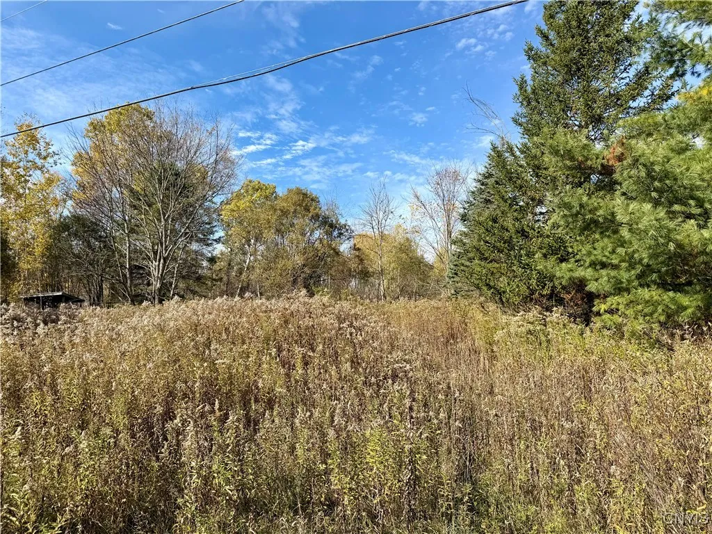 4895 Rogers Crossing Road, Croghan, New York 13327, Croghan, New York 13327, ,Land,For Sale,4895 Rogers Crossing Road, Croghan, New York 13327,0,S1645604