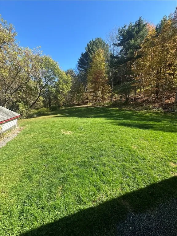 116 Cronk Road, Roxbury, New York 12474, Roxbury, New York 12474, 3 Bedrooms Bedrooms, 5 Rooms Rooms,1 BathroomBathrooms,Residential,For Sale,116 Cronk Road, Roxbury, New York 12474,0,R1645501