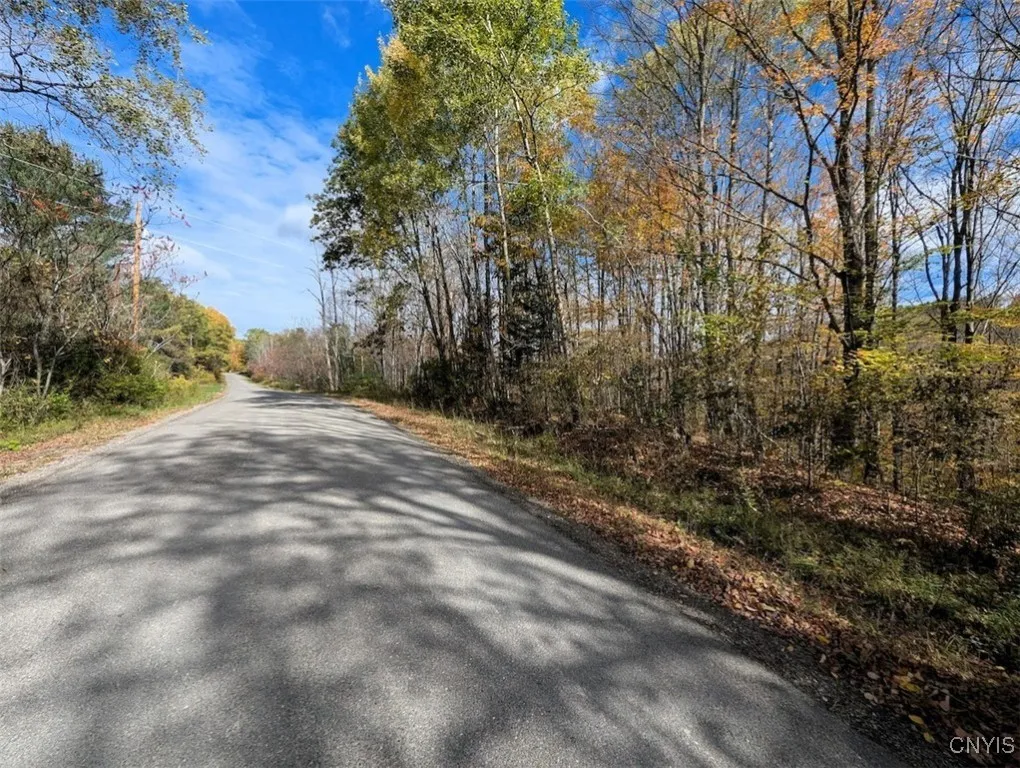 Akins Road North, Cohocton, New York 14826, Cohocton, New York 14826, ,Land,For Sale,Akins Road North, Cohocton, New York 14826,0,S1645651