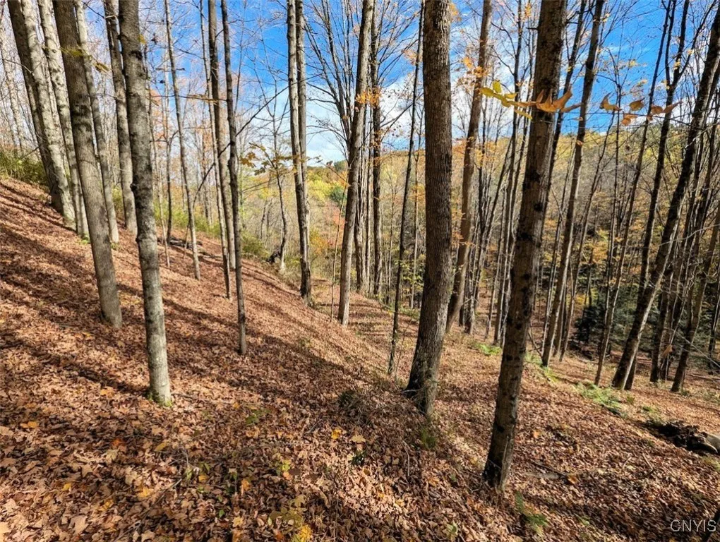 Akins Road North, Cohocton, New York 14826, Cohocton, New York 14826, ,Land,For Sale,Akins Road North, Cohocton, New York 14826,0,S1645651