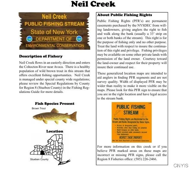 Akins Road North, Cohocton, New York 14826, Cohocton, New York 14826, ,Land,For Sale,Akins Road North, Cohocton, New York 14826,0,S1645651