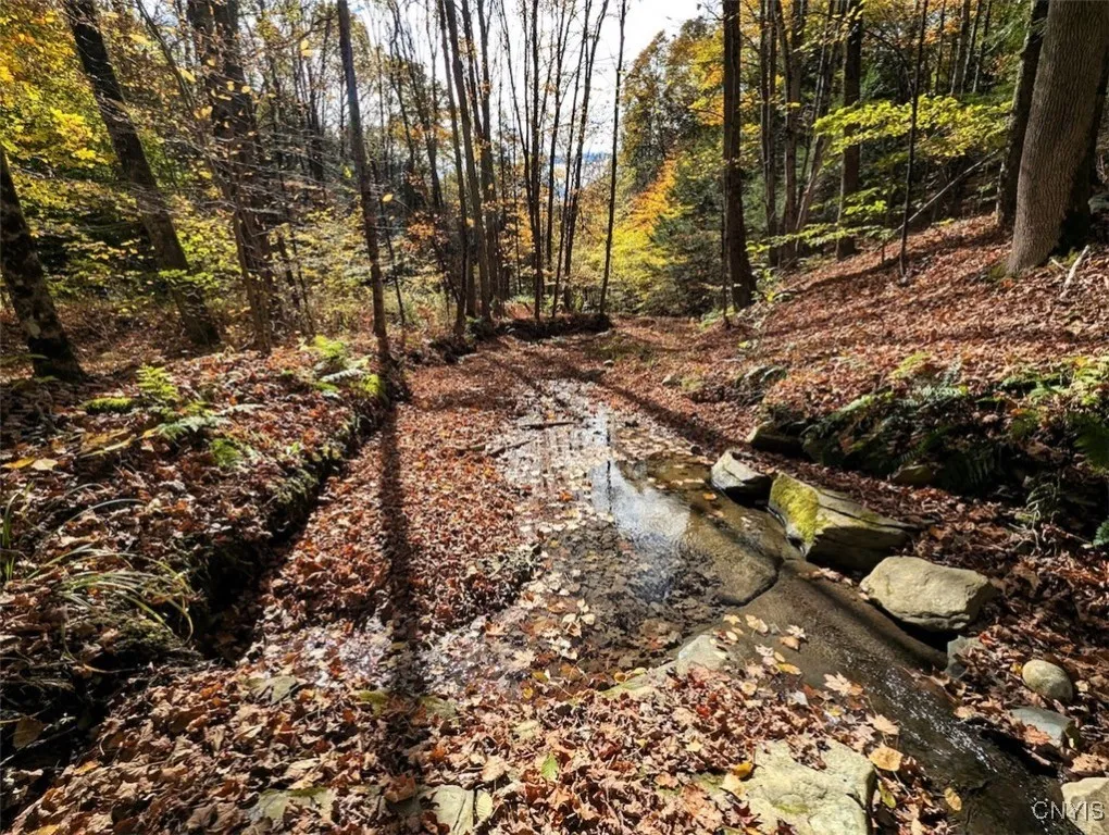 Akins Road North, Cohocton, New York 14826, Cohocton, New York 14826, ,Land,For Sale,Akins Road North, Cohocton, New York 14826,0,S1645651