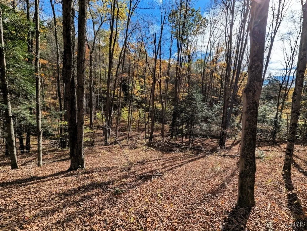 Akins Road North, Cohocton, New York 14826, Cohocton, New York 14826, ,Land,For Sale,Akins Road North, Cohocton, New York 14826,0,S1645651