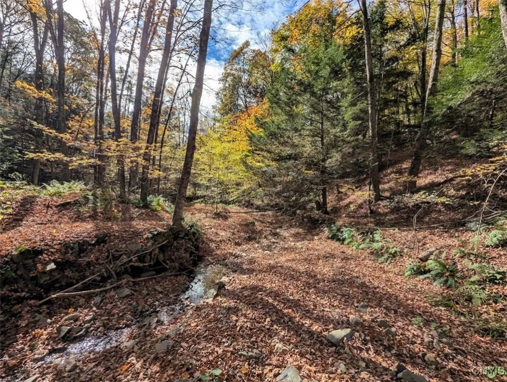 Akins Road North, Cohocton, New York 14826, Cohocton, New York 14826, ,Land,For Sale,Akins Road North, Cohocton, New York 14826,0,S1645651