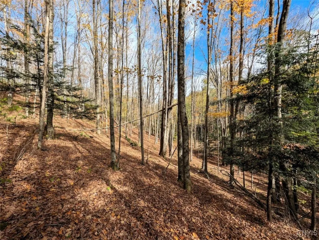 Akins Road North, Cohocton, New York 14826, Cohocton, New York 14826, ,Land,For Sale,Akins Road North, Cohocton, New York 14826,0,S1645651