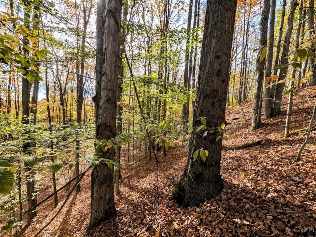 Akins Road North, Cohocton, New York 14826, Cohocton, New York 14826, ,Land,For Sale,Akins Road North, Cohocton, New York 14826,0,S1645651